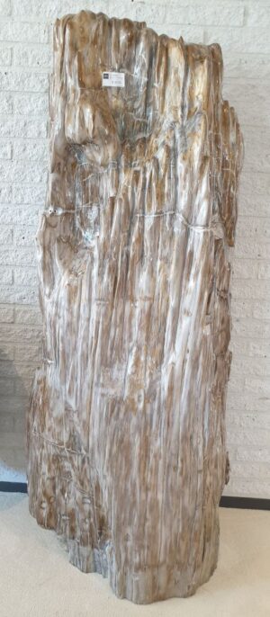 Sculpture petrified wood 14102
