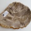 Teller versteinertes Holz 32108a