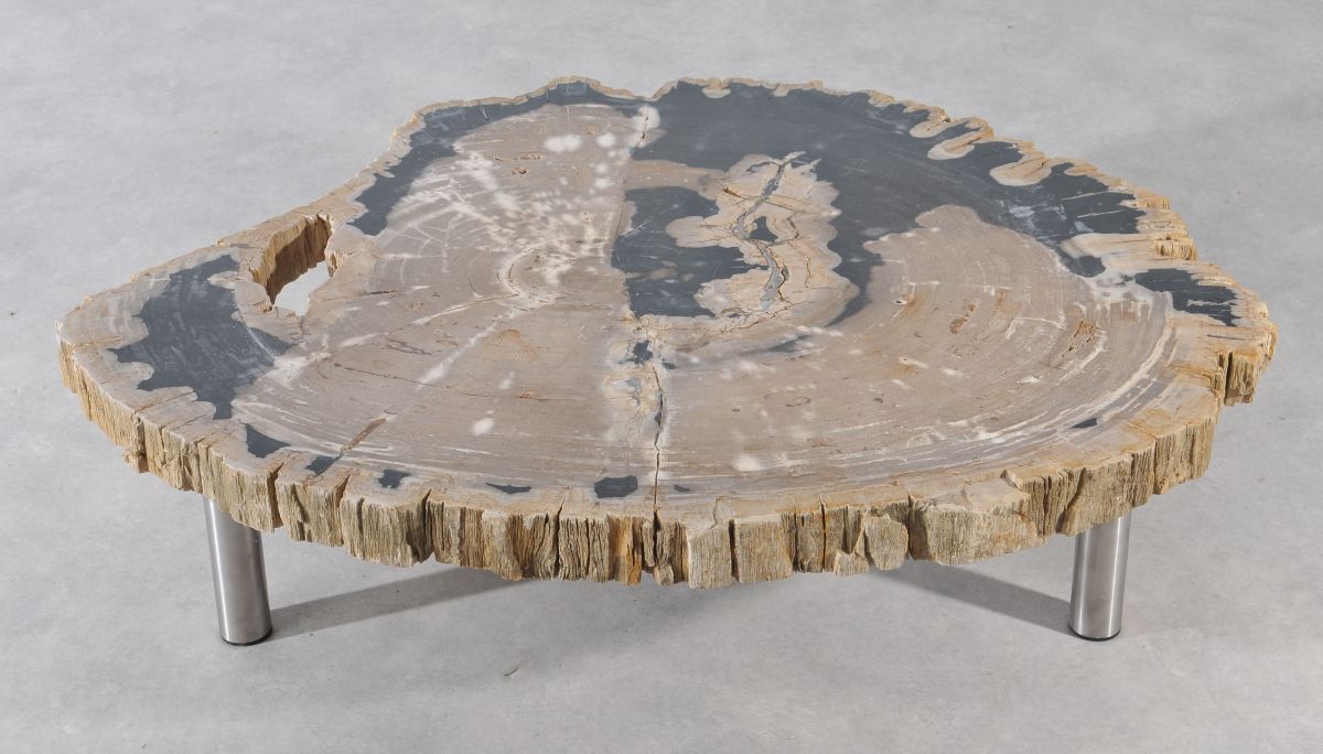 Coffee table petrified wood 36146