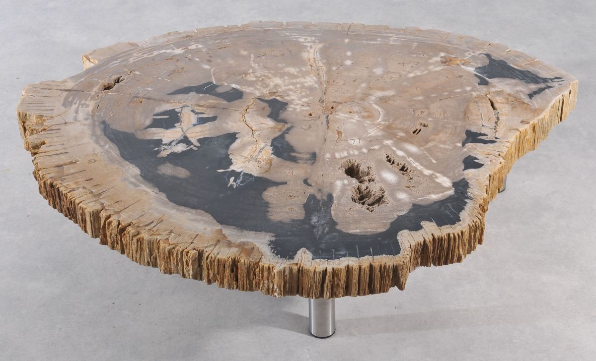 Coffee table petrified wood 36149