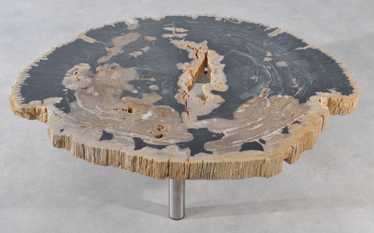 Coffee table petrified wood 36178