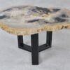 Coffee table petrified wood 36221