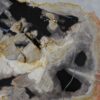 Coffee table petrified wood 36221