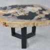 Coffee table petrified wood 36222