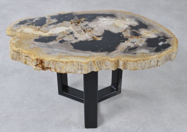 Coffee table petrified wood 36222