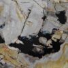 Coffee table petrified wood 36222