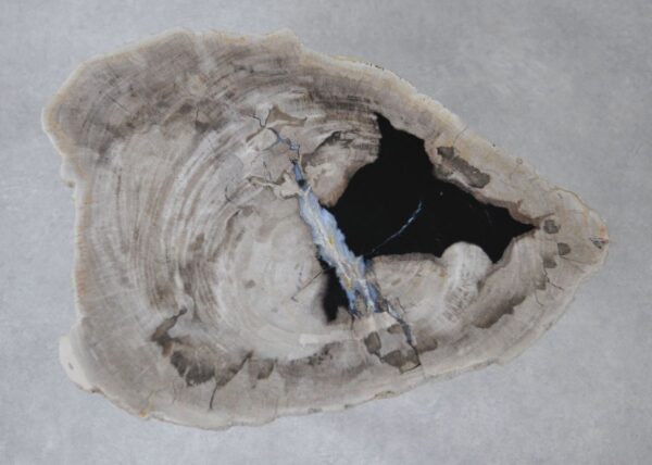 Coffee table petrified wood 36232