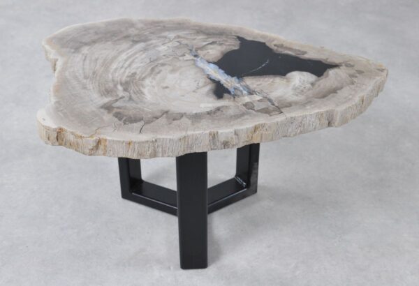 Coffee table petrified wood 36232