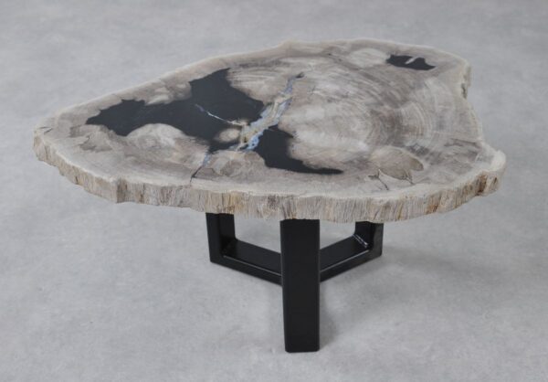 Coffee table petrified wood 36232