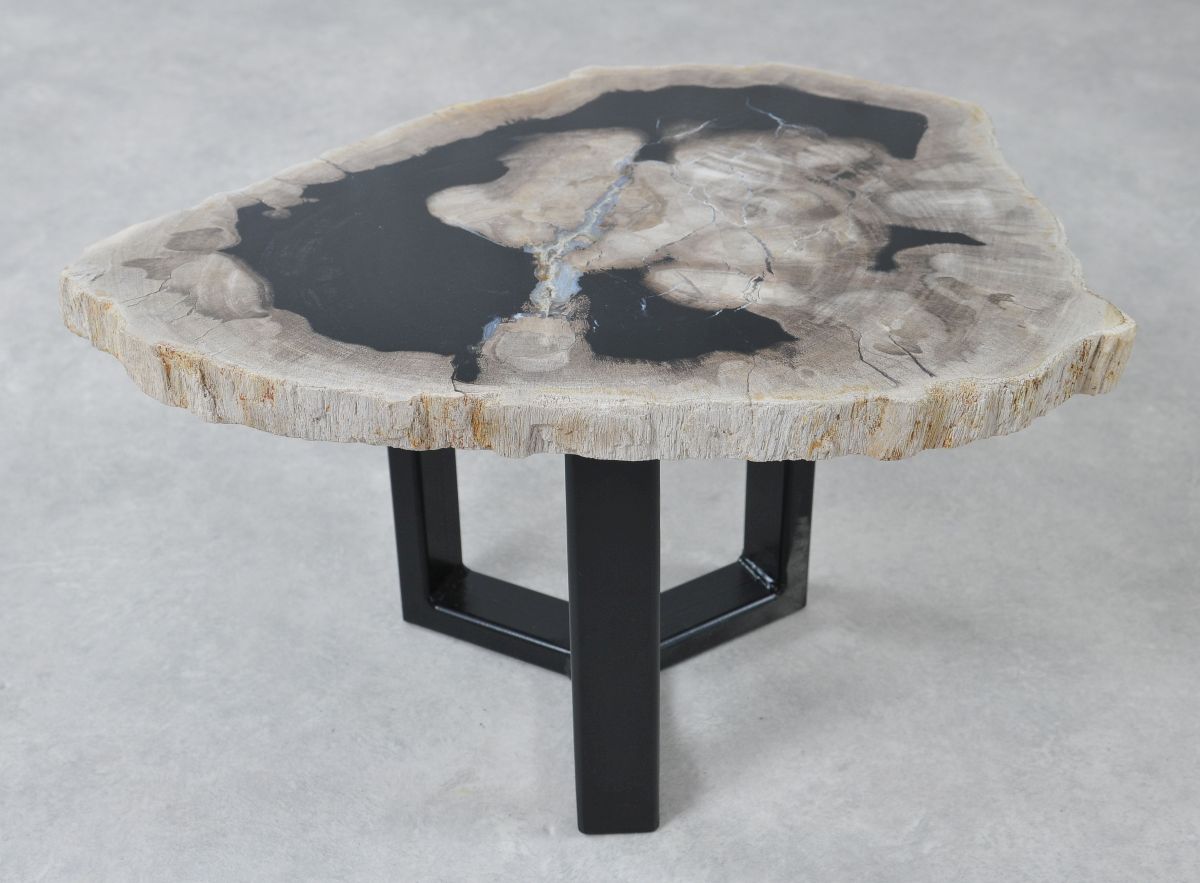 Coffee table petrified wood 36236