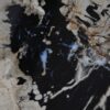 Coffee table petrified wood 36299