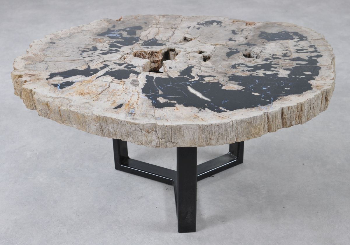 Coffee table petrified wood 36300