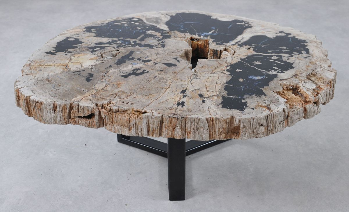 Coffee table petrified wood 36301