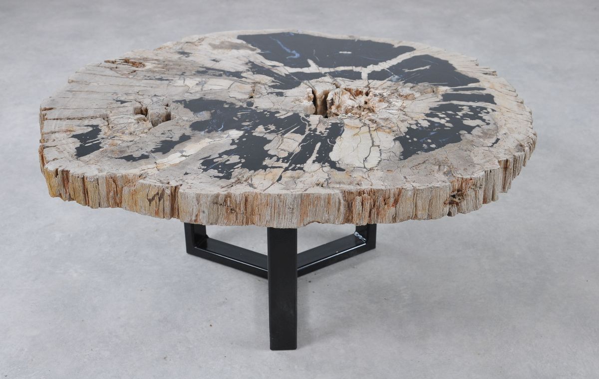 petrified wood tables and slabs