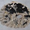 Coffee table petrified wood 36313