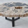 Coffee table petrified wood 36313