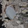 Coffee table petrified wood 36313
