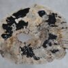 Coffee table petrified wood 36313