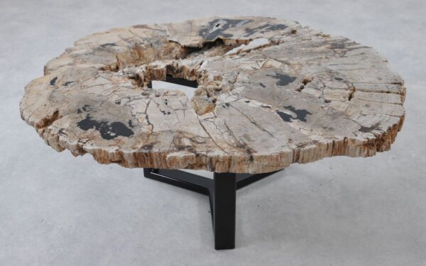 Coffee table petrified wood 36316