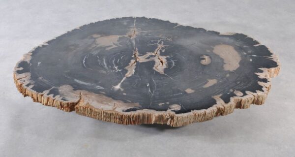 Coffee table petrified wood 36366