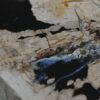 Couchtisch versteinertes Holz 36299