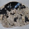 Couchtisch versteinertes Holz 36303