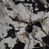Couchtisch versteinertes Holz 36303