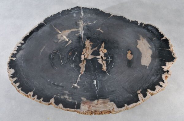 Mesa de centro madera petrificada 36371