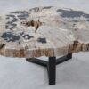Salontafel versteend hout 36299