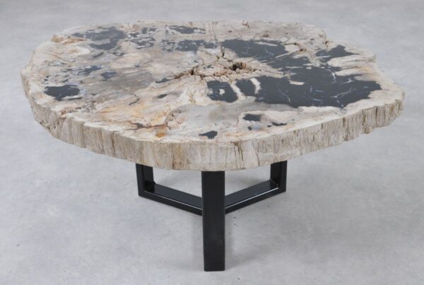 Table basse bois pétrifié 36304