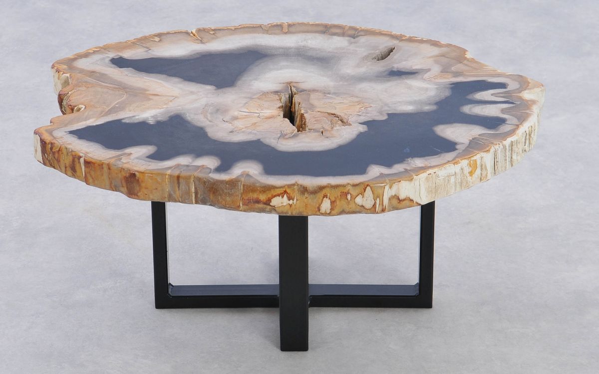 Coffee Table Petrified Wood 37241 The Art Of Nature Xyleia Natural Interiors