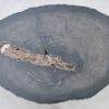 Coffee table petrified wood 37256