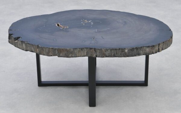 Coffee table petrified wood 37267