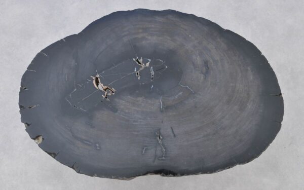 Mesa de centro madera petrificada 37267