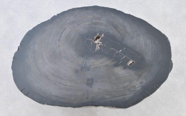 Mesa de centro madera petrificada 37371