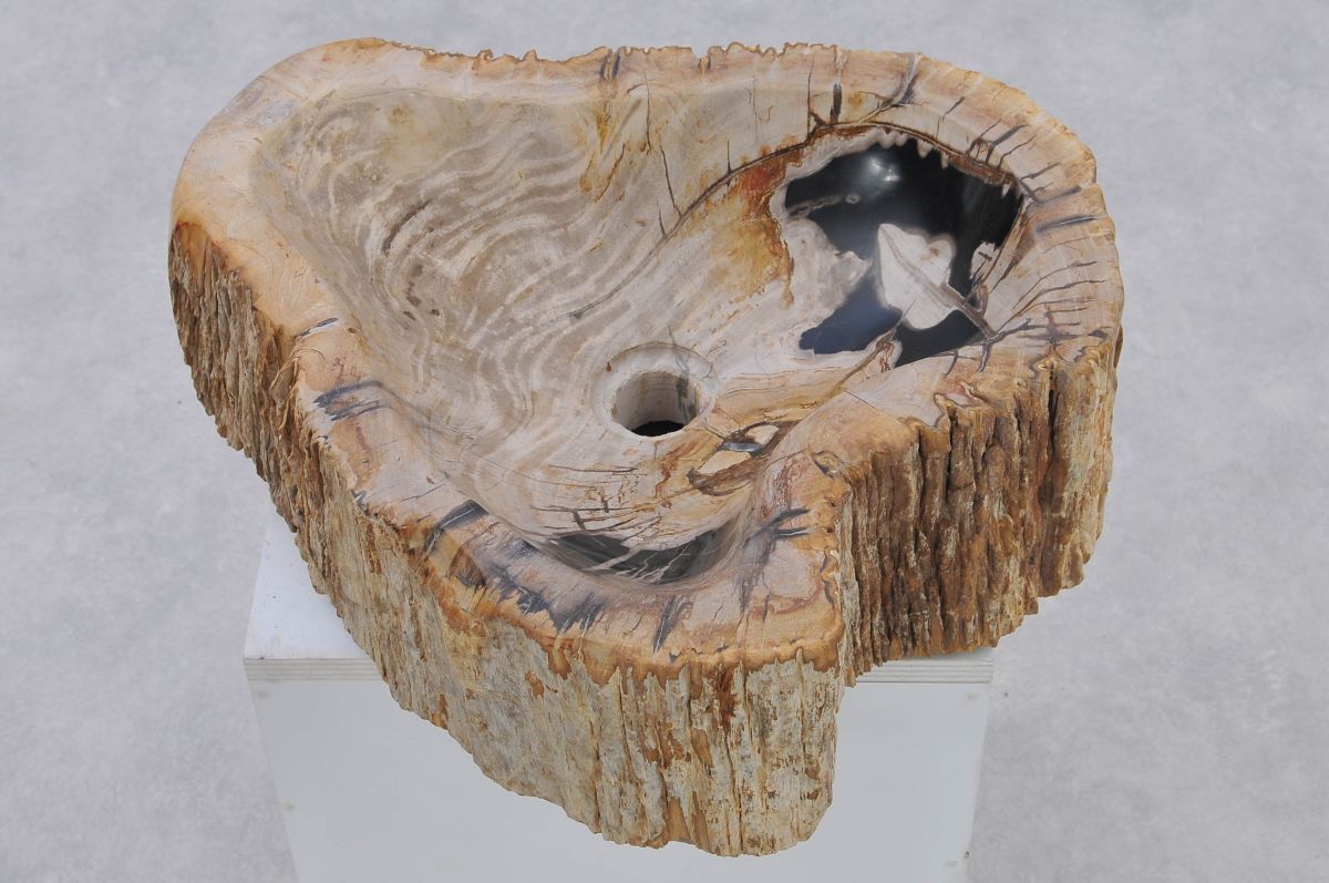 Voorstellen Medewerker Spanning Wastafel versteend hout 37323 - kunst uit de natuur - Xyleia Natural  Interiors
