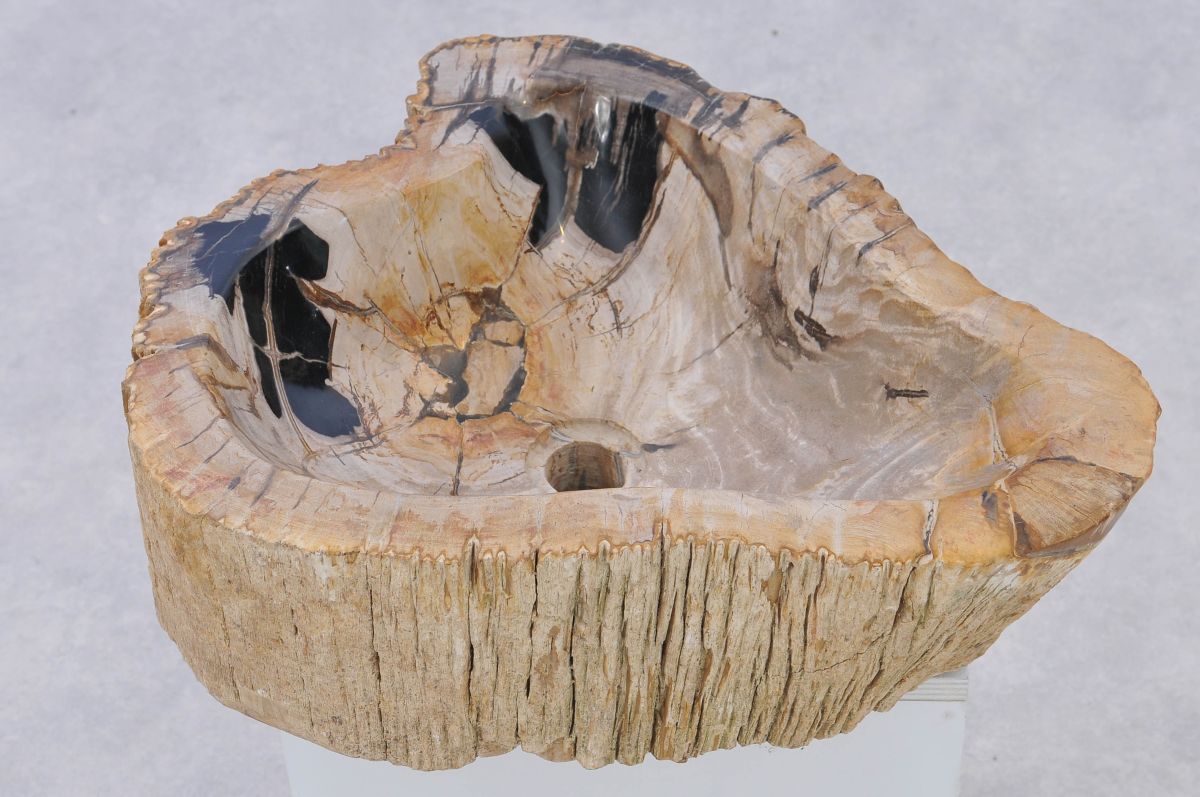 Walter Cunningham een miljoen Slang Wastafel versteend hout 37324 - kunst uit de natuur - Xyleia Natural  Interiors
