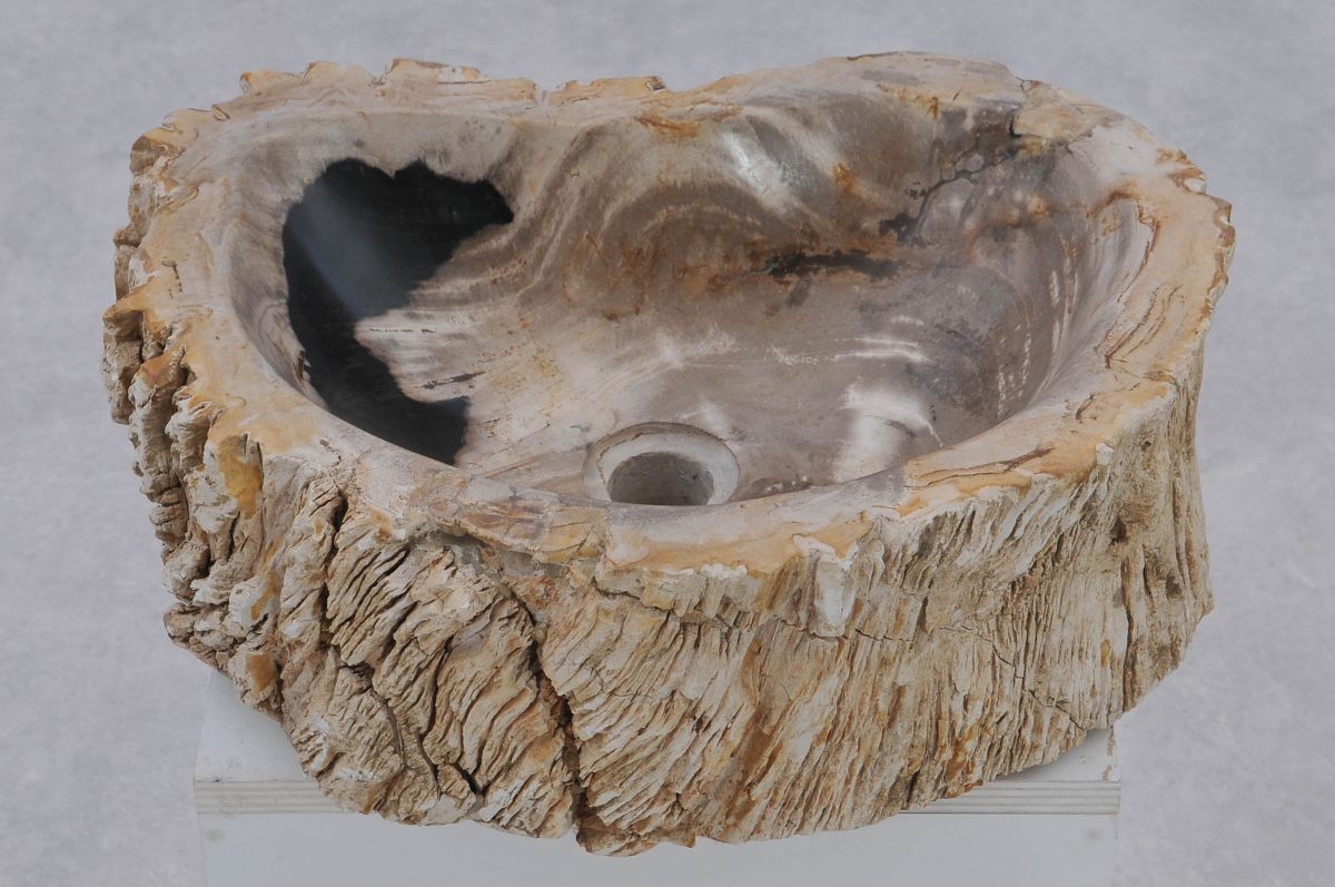 Dhr Wiskundige buis Wastafel versteend hout 37368 - kunst uit de natuur - Xyleia Natural  Interiors