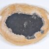 Assiette bois pétrifié 37034a