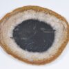 Assiette bois pétrifié 37041b
