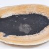 Bord versteend hout 37034b