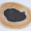 Bord versteend hout 37034c