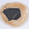Bord versteend hout 37034f