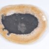 Plate petrified wood 37034b