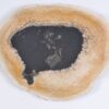 Plate petrified wood 37034e
