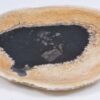 Plate petrified wood 37034e