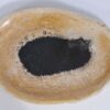 Plate petrified wood 37034g