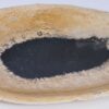 Plate petrified wood 37034g