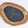 Plate petrified wood 37378b