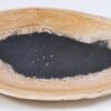 Plato madera petrificada 37034c